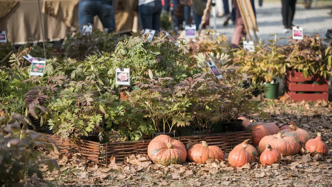 #FAI – Tutta da scoprire Villa dei Vescovi nel giorno dedicato alla zucca e ai frutti antichi dell’autunno!