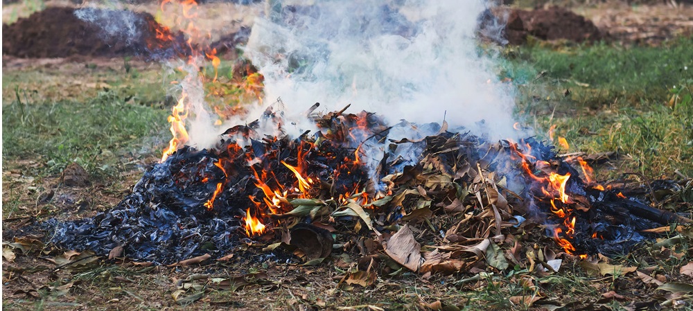 Accendono un fuoco per bruciare frasche, denunciate due persone