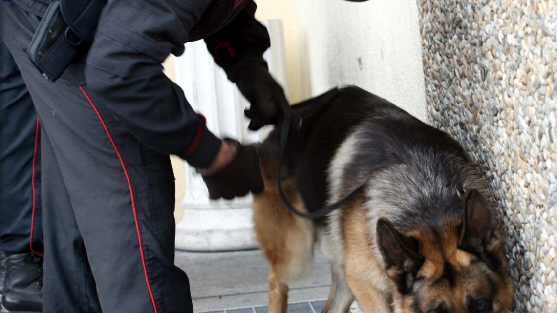 Licusati (SAI: Detiene droga in casa per lo spaccio, 41enne del luogo DENUNCIATO DAI CARABINIERI