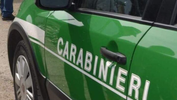 CALITRI (AV) – SCARICO ILLECITO DI ACQUE REFLUE: I CARABINIERI DENUNCIANO UN IMPRENDITORE. SOSPESA L’ATTIVITÀ PRODUTTIVA ED ELEVATE SANZIONI PER 10 MILA EURO