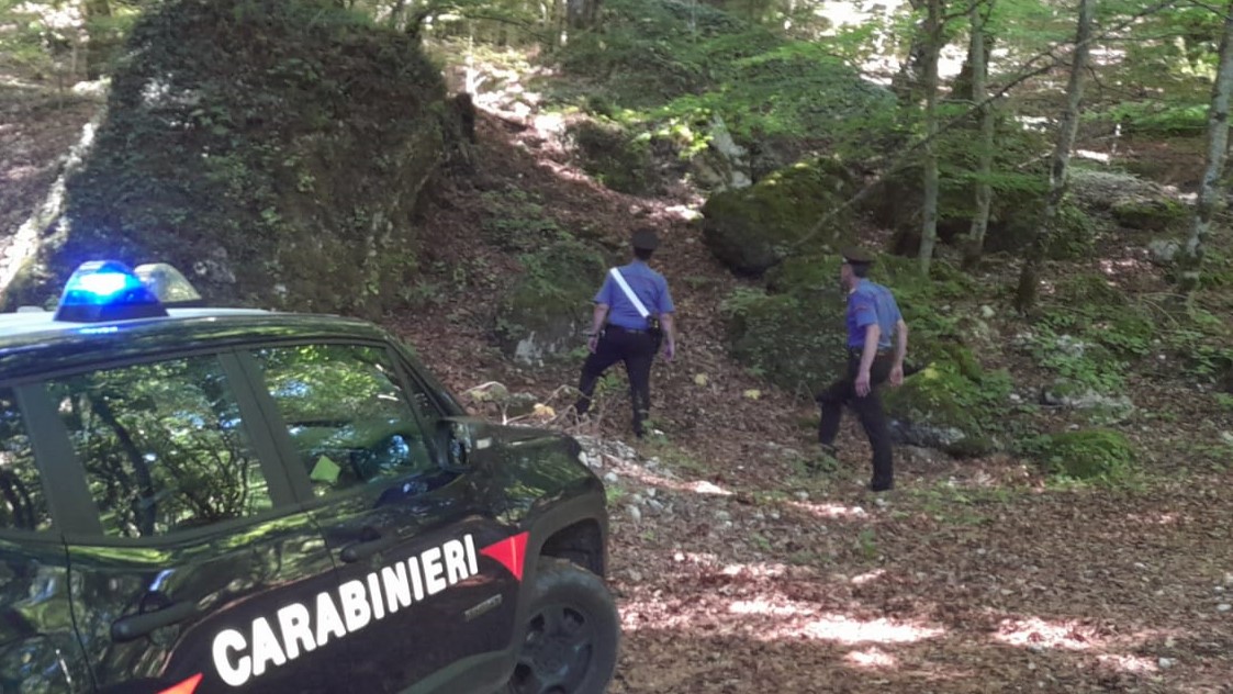 SENERCHIA (AV) – IN CERCA DI FUNGHI, PERDE L’ORIENTAMENTO: RINTRACCIATO DAI CARABINIERI. ECCO ALCUNI UTILI CONSIGLI PER NON PERDERSI IN MONTAGNA