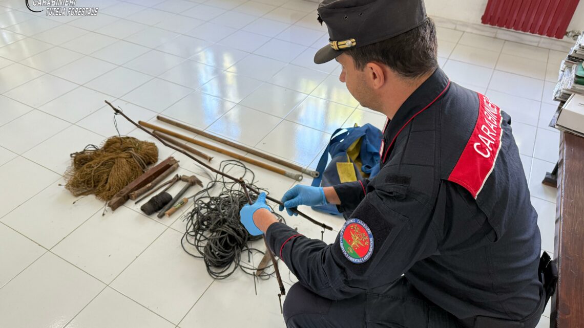 VOLTURARA IRPINA (AV) – DEFERITO 35ENNE PER UCCELLAGIONE ILLEGALE NEL PARCO            REGIONALE DEI MONTI PICENTINI