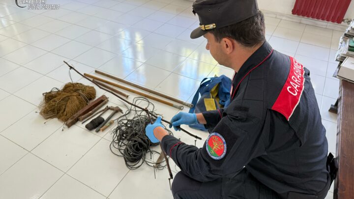 VOLTURARA IRPINA (AV) – DEFERITO 35ENNE PER UCCELLAGIONE ILLEGALE NEL PARCO            REGIONALE DEI MONTI PICENTINI