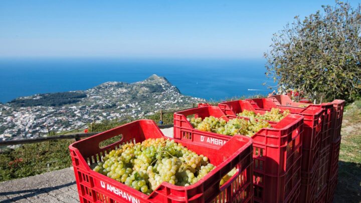 VACANZE FUORI STAGIONE: COLDIRETTI, UNDICI MILIONI DI PRESENZE IN CAMPAGNA