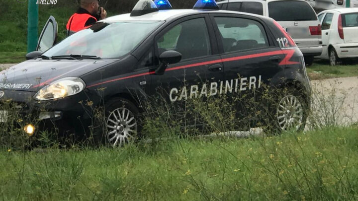 TUTELA DELL’AMBIENTE: I CARABINIERI IMPEGNATI SUL TERRITORIO CONTRO L’INQUINAMENTO E DEGRADO AMBIENTALE