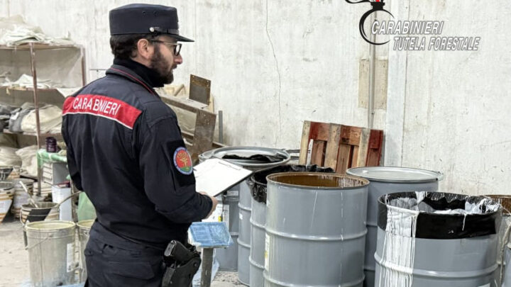 ALTA IRPINIA – I CARABINIERI FORESTALI SEQUESTRANO UN OPIFICIO