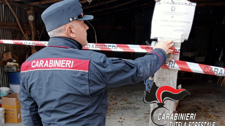 I CARABINIERI FORESTALI SEQUESTRANO UN OPIFICIO E CHIUDONO UN’ OFFICINA ABUSIVA